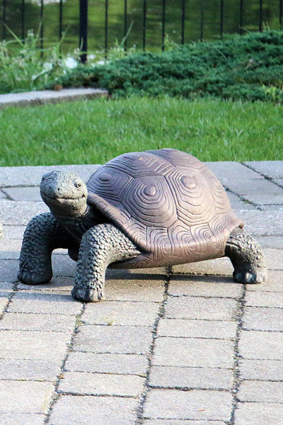 Exotic garden tortoise sculptural work decorative art quality cement